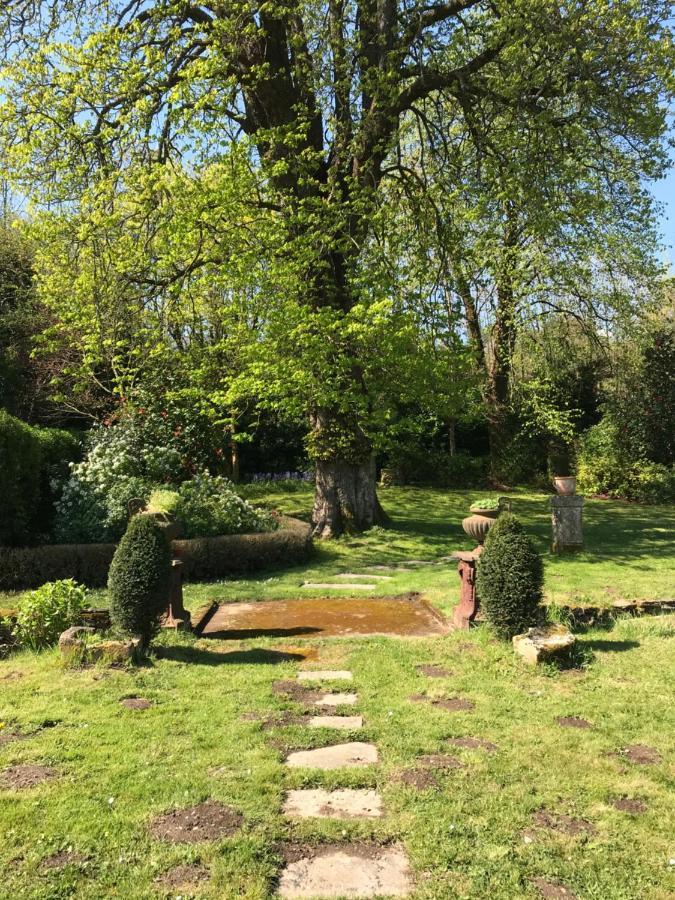 Residence Le Petit Paradis Labastide-Rouairoux エクステリア 写真